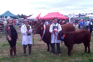 Read more about the article Rathdowney Show 2016