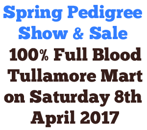 Read more about the article Spring Pedigree Show & Sale now online