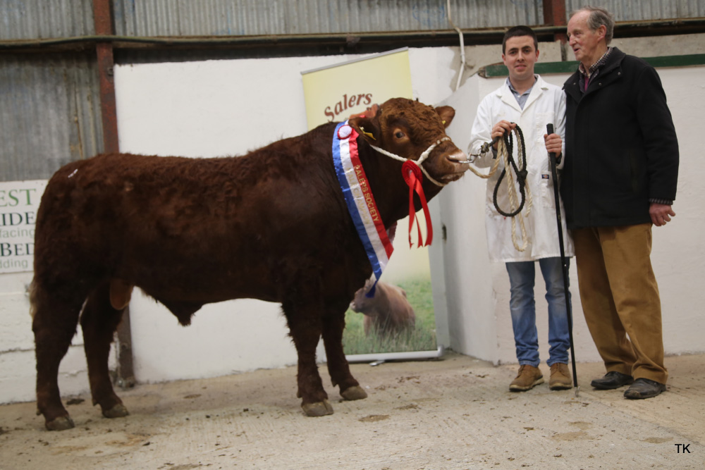 Read more about the article Spring Pedigree Show and Sale 2018