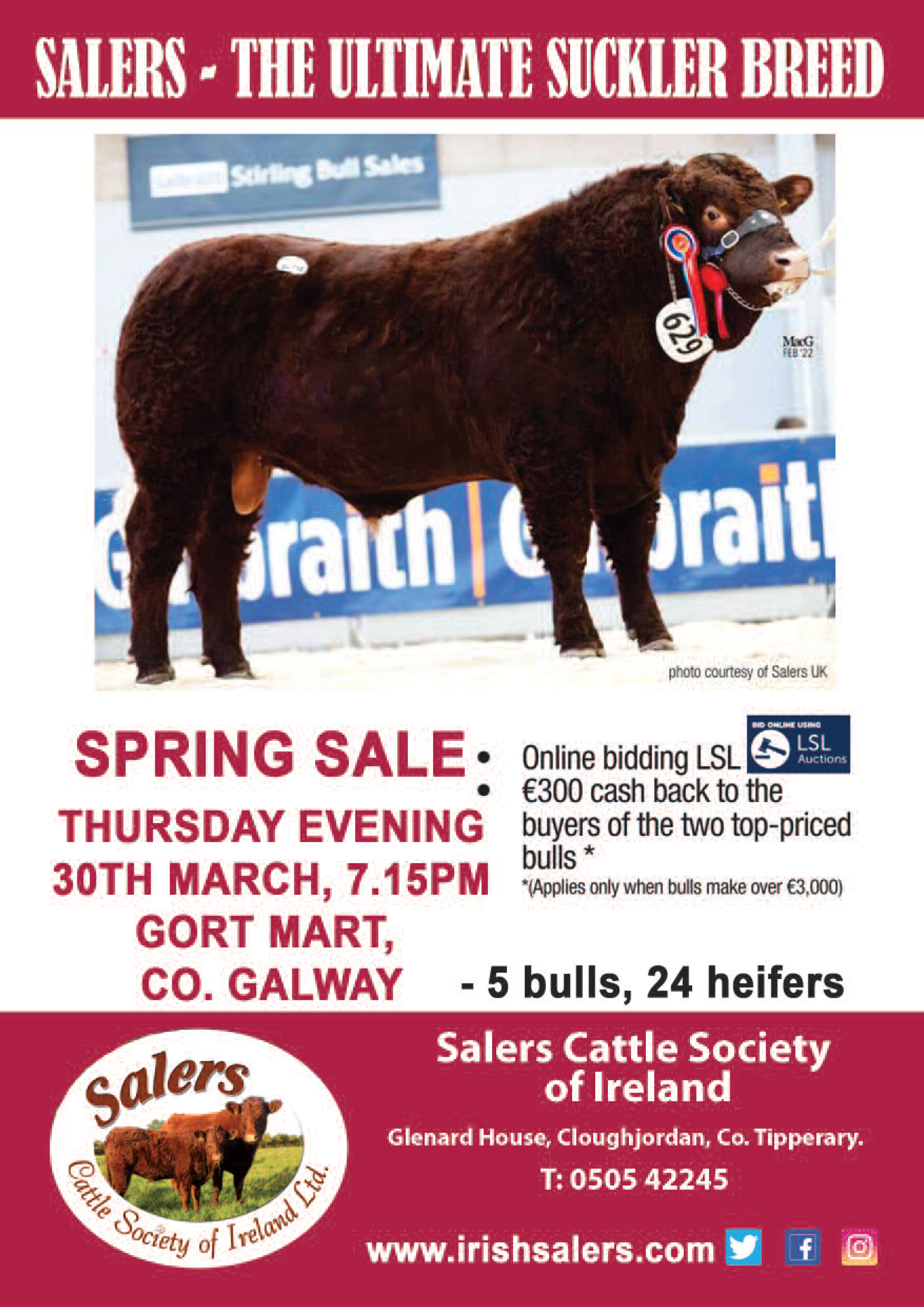 Read more about the article Gort Show  & sale – 30th March 2023