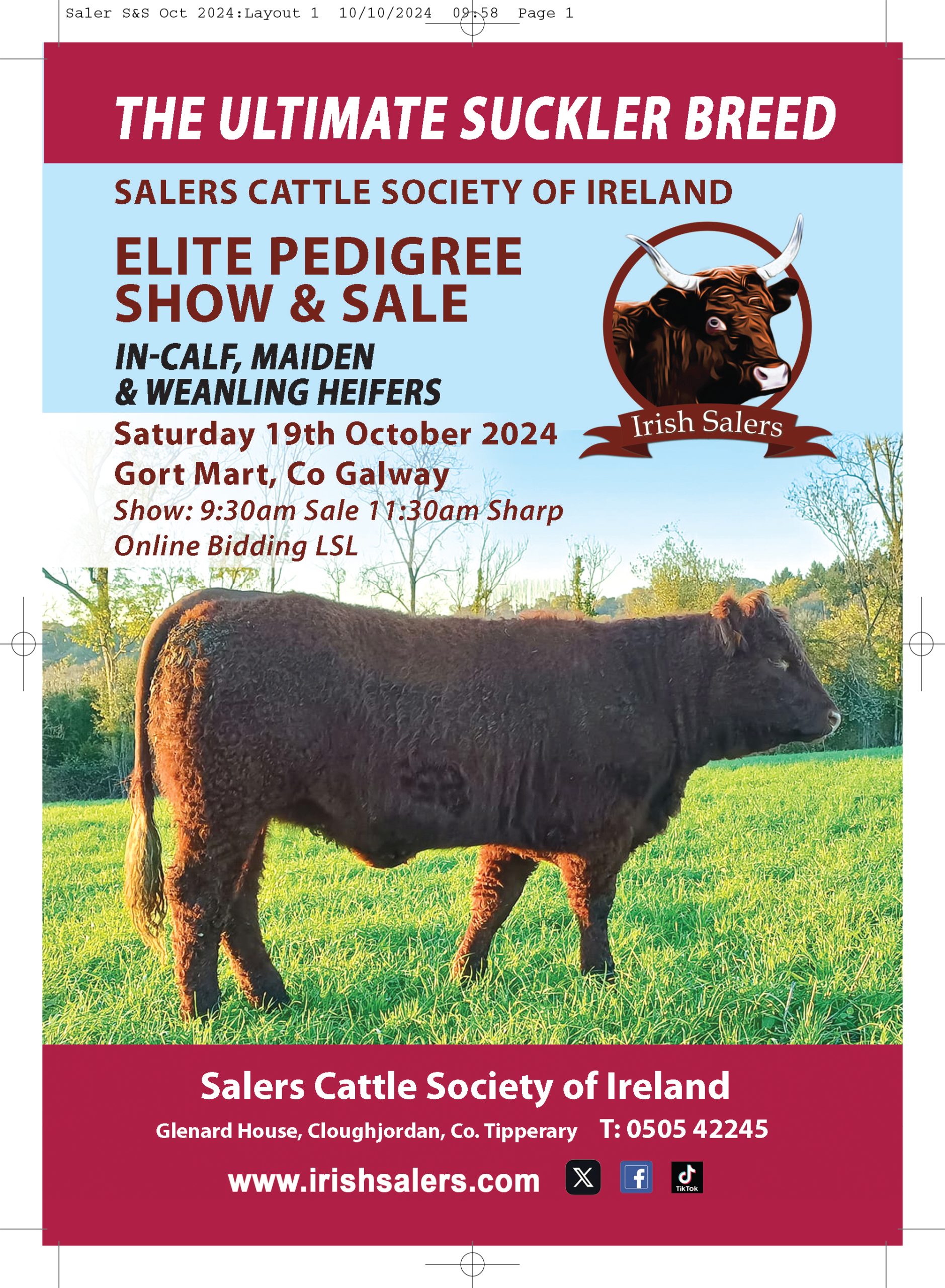 Read more about the article Elite Show and Sale Catalogue