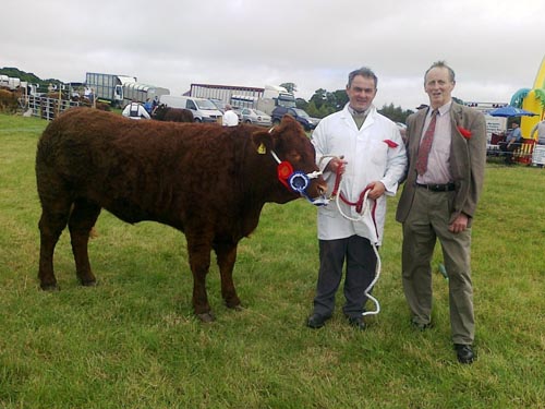 Ashbury Ice Maiden Reserve Champ Ossory '10 compressed