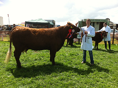 Athlone Show Reserve Champion Clew Bay Kate with owner Declan Bell