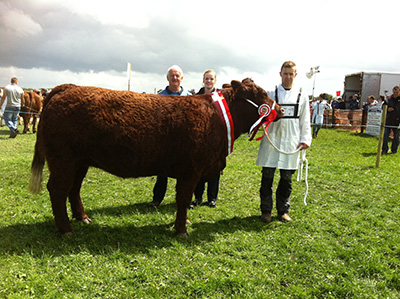 Athlone show '15 Champion Hantise (FR '13) owner Andrew Bryne with Joseph and Linda Byrne.
