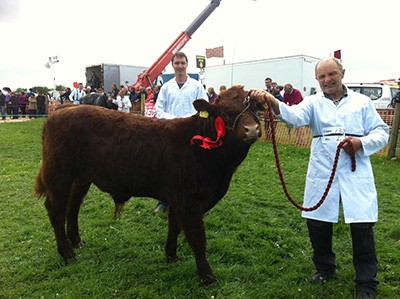 Athlone show male calf winner Ballyvonnavun Oscar with Kieran and Declan Bell