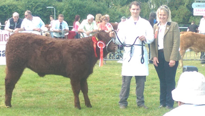 Champion - cork show, Ballyvonnavaun Olga, owner Declan Bell