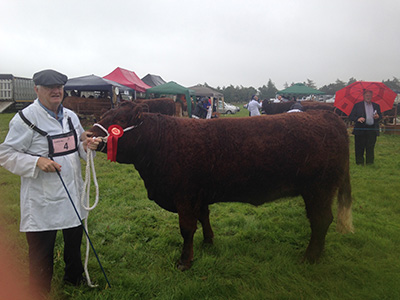 Ossory Show, Reserve Champion, Beguine owner Andrew Byrne
