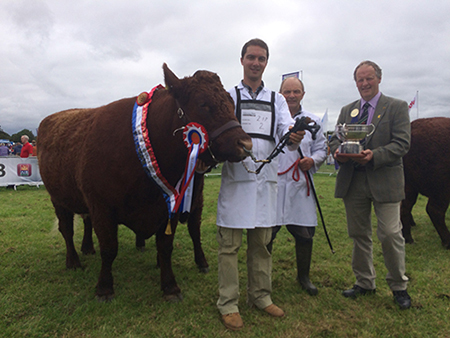 Tullamore Show 2016 Champion Clew Bay Kate owner Declan Bell with judge Rob Livesley UK