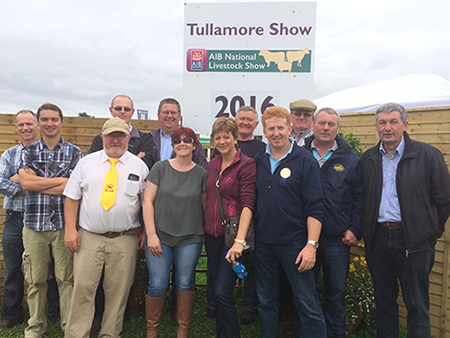 Tullamore Show 2016 Exhibitors and Helpers.