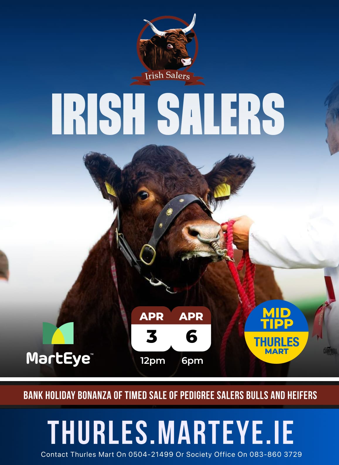 Read more about the article Bank Holidays Bonanza Timed Sale 3rd to 6th April